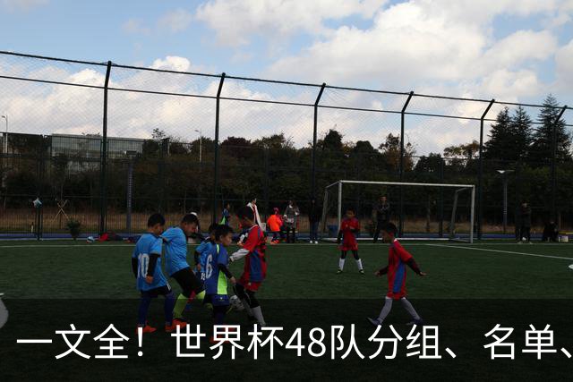 一文全！世界杯48队分组、名单、球场、奖金、数据....看这就够了