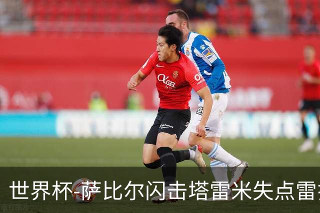世界杯-萨比尔闪击塔雷米失点雷扎伊扬扳平 半场埃及1-1伊朗