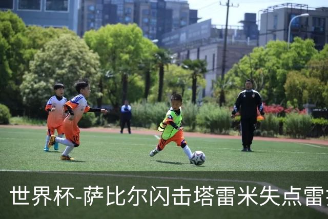 世界杯-萨比尔闪击塔雷米失点雷扎伊扬扳平 半场埃及1-1伊朗