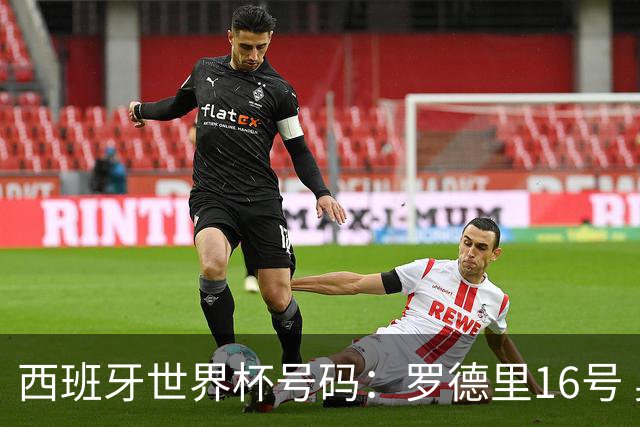 西班牙世界杯号码：罗德里16号 奥尔莫10号 亚马尔19号佩德里20号