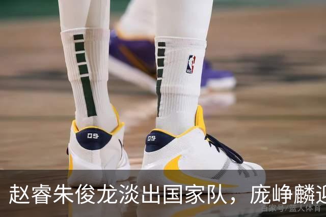 赵睿朱俊龙淡出国家队，庞峥麟迎来机遇，林葳三大短板难进队